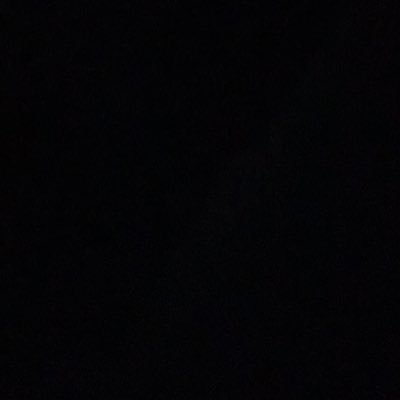 BaileyShanneil's profile picture. 