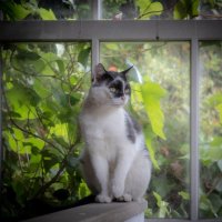 あい (@_xo______ox_) 's Twitter Profile