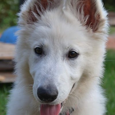 matej_pise's profile picture. 