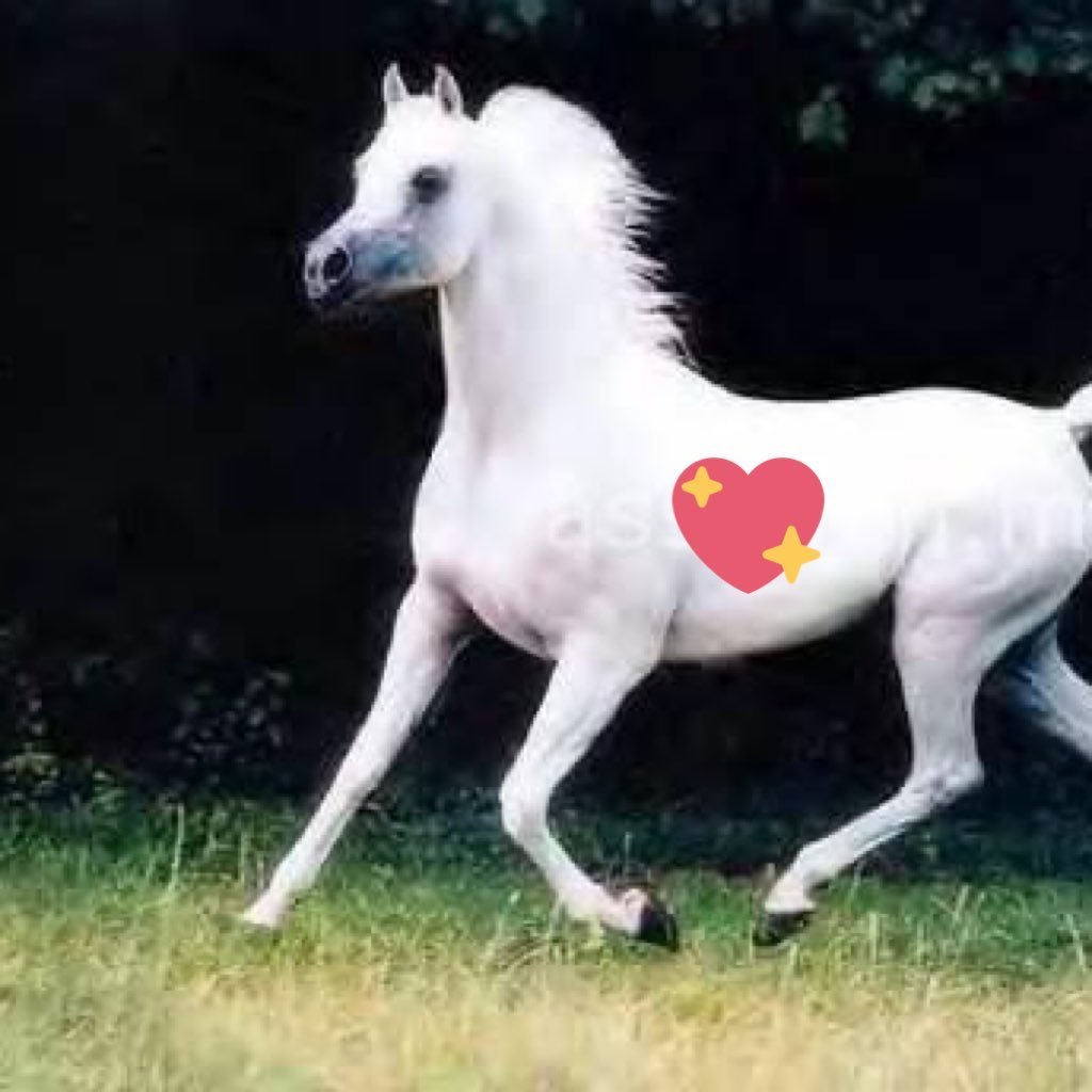 اللهم أجعل وفاتي في صلاتي بين سجده و تسبيح و ركوع و اجعل آخر كلامي في الحياة قول أشهد ألا إله إلا الله وأشهدان محمد رسول الله ((الخاص🤐))