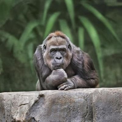 karBiT7's profile picture. I discovered cryptocurrencies