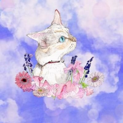 ソラソラ☆YouTubeでオリジナル曲配信中🎶さんのプロフィール画像