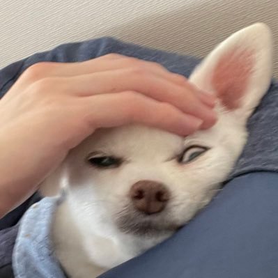 y5k__'s profile picture. ~~~~~~~