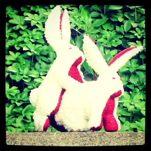 The Bad Twin Erotic Plush will end pillow fights worldwide! The Bad Twin Vintage will save me years of psychotherapy for hoarding. http://t.co/A7Fp5hqr7r