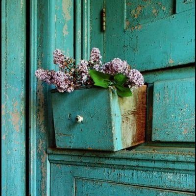 med1800's profile picture. لا تفرُك عينيك، هذه أقصَى جودة للصورة.