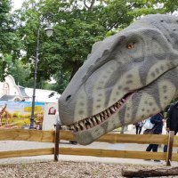 LeipzigerZoo (@zooleipzig) 's Twitter Profile