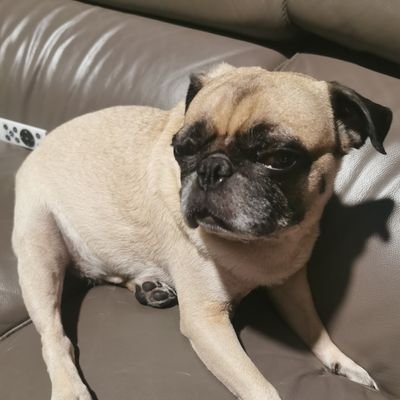 tiffffzzzzzzzz's profile picture. 