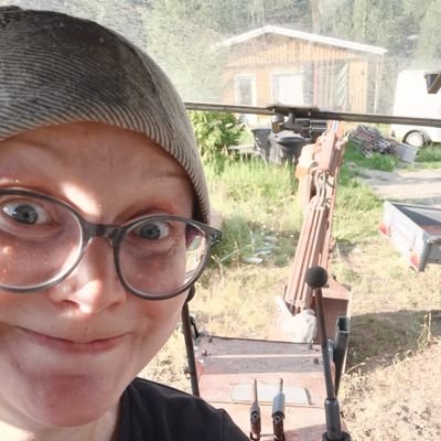 ELinnunlaulu's profile picture. 