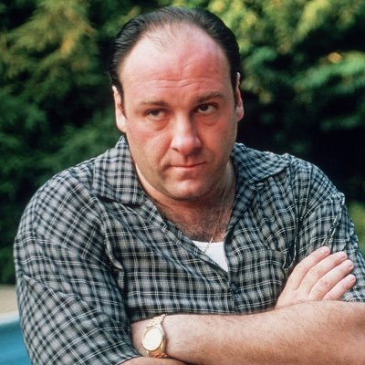 TheSopranosIL's profile picture. You’re only as good as your last envelope