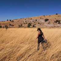 Liz Low (@elizabethlow) 's Twitter Profile