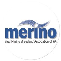 Merino WA(@merino_wa) 's Twitter Profile Photo