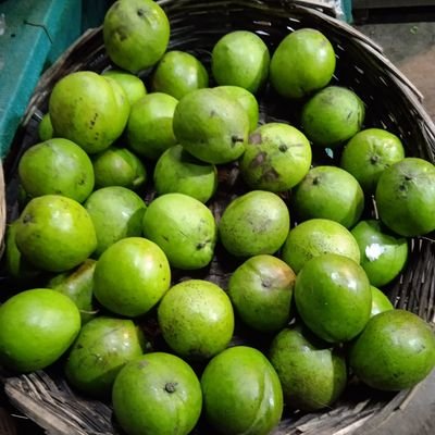 GVegitables's profile picture. 𝒜𝒶