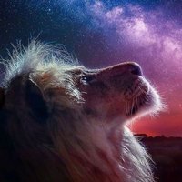 KEENTO (@assubei1) 's Twitter Profile