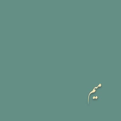 یکم کد، یکم گیک حساب می شه٬ یکم عکاسی می کنه، یکم خبر می خونه، روزمرگیهاش هم مثل بقیست.