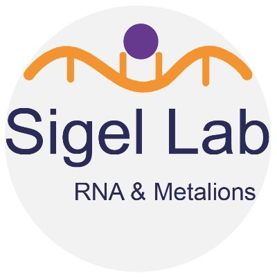 Sigel Lab Profile