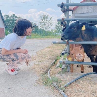 aiさんのプロフィール画像