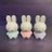 Lapin78594513