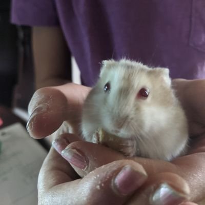WenDAnn_19's profile picture. 