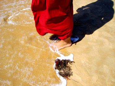 Galmuedo's profile picture. 