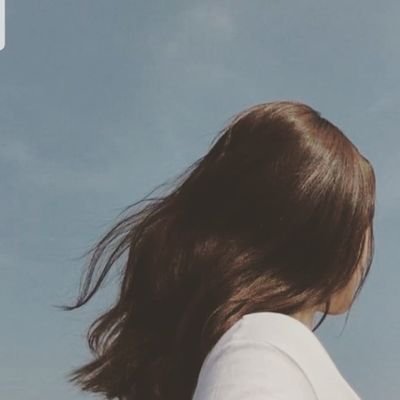 🕊️