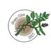 igem2022 iBowu-China (@ibowuchina) Twitter profile photo igem2022 iBowu-China (@ibowuchina) Twitter profile photo