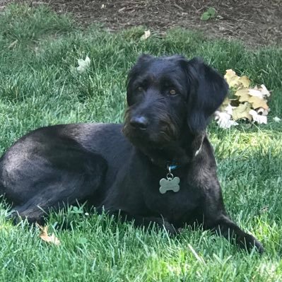 hectorswdc's profile picture. 