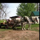 Aaron Edinger - @coach_eddie82 - Twitter