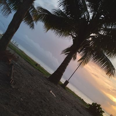 AndyParcon's profile picture. 