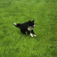 Floss (@flossiesjournal) 's Twitter Profile