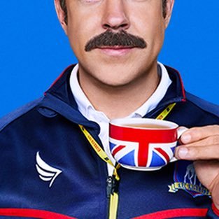 Official Upper Lipholstery╱Mouth Brow╱Biscuit Duster of AFC Richmond’s Coach Ted Lasso.