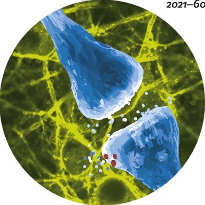 Using protein engineering, we develop tools and technologies to help scientists investigate neurons and neuropathways. @UMLifeSciences @MichiganChem