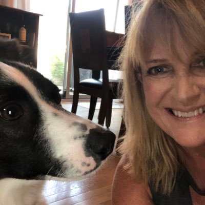 AmyinthePark's profile picture. I'm fairly certain given some tweets and a tiara, I could save the world.