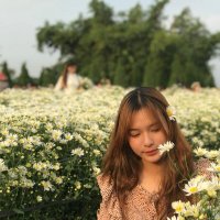 Ronnie (@ronnie85900299) 's Twitter Profile
