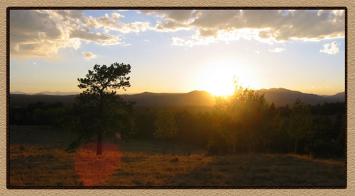 runfast_'s profile picture. 