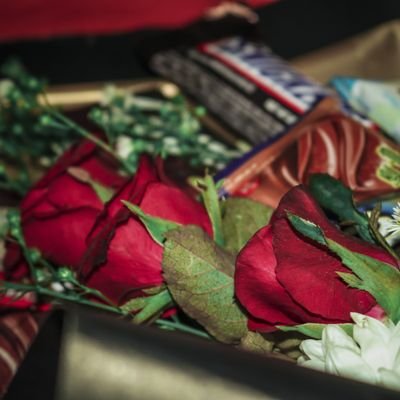 Renren75251352's profile picture. 