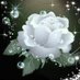 د.عذراء (@u4h9bdtnyzt05jl) Twitter profile photo د.عذراء (@u4h9bdtnyzt05jl) Twitter profile photo