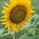 Anita Robert - @ro82821647 - Twitter