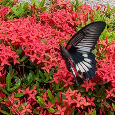 country88430297's profile picture. キングスブースター
よろしくお願い致します。
Twitter初心者ですので、お手柔らかにお願い致します。
無言フォロー失礼致します。