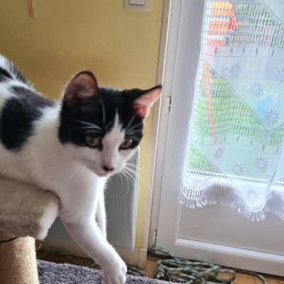 p_boissey's profile picture. 