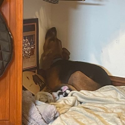 bootvii's profile picture. Boot, like the shoe.