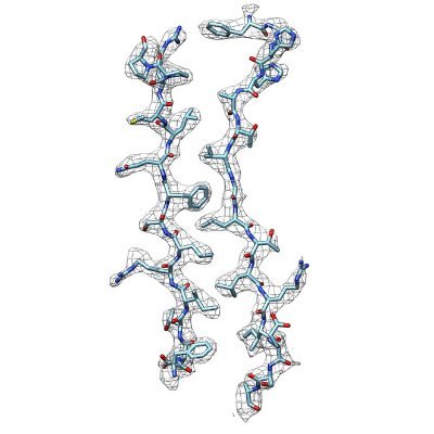 cryo-EM structures and methods development, cisTEM development