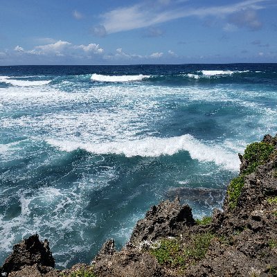 litimus's profile picture. 