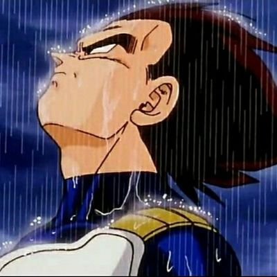 sadvegeta104 Profile Picture