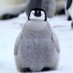 vai 🌧️ (@edvreana) Twitter profile photo vai 🌧️ (@edvreana) Twitter profile photo