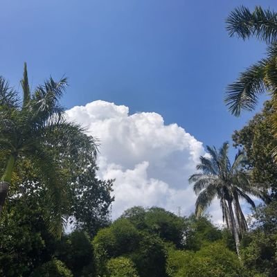 Clouds nubes wolken nuages nuvole nuvens 雲 구름 云 سحاب