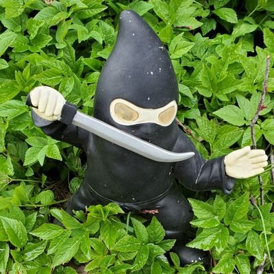 gocaitycatさんのプロフィール画像