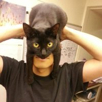 Jhonny C. (@cienflamas) 's Twitter Profile