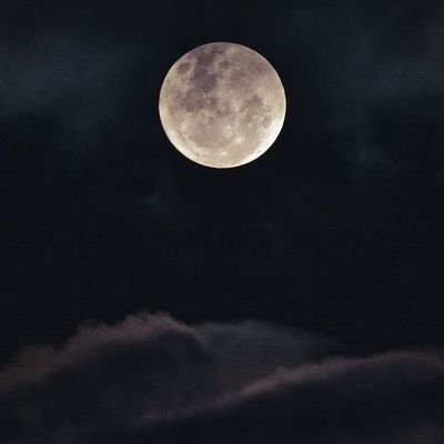 akhzami14's profile picture. Very interested in Cyber security