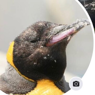 MOYUKI17's profile picture. 趣味でPA(音響）をやらせて頂いてます。