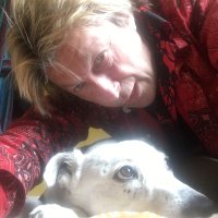 David Kendall (@manwithbooks) 's Twitter Profile Photo David Kendall (@manwithbooks) 's Twitter Profile Photo